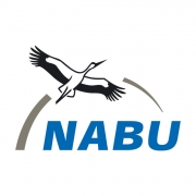 nabu
